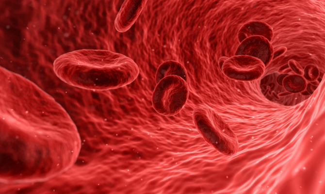 CBD může zlepšovat průtok krve cévní soustavou